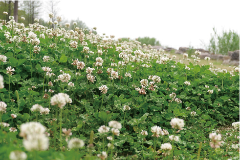 1591671945122554.jpg 年會圖片尺寸壓縮-05.jpg